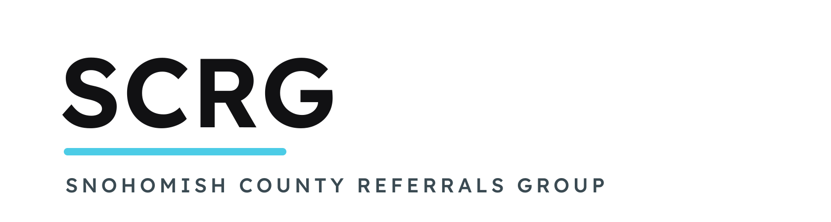 Primary logo (light backgrounds)